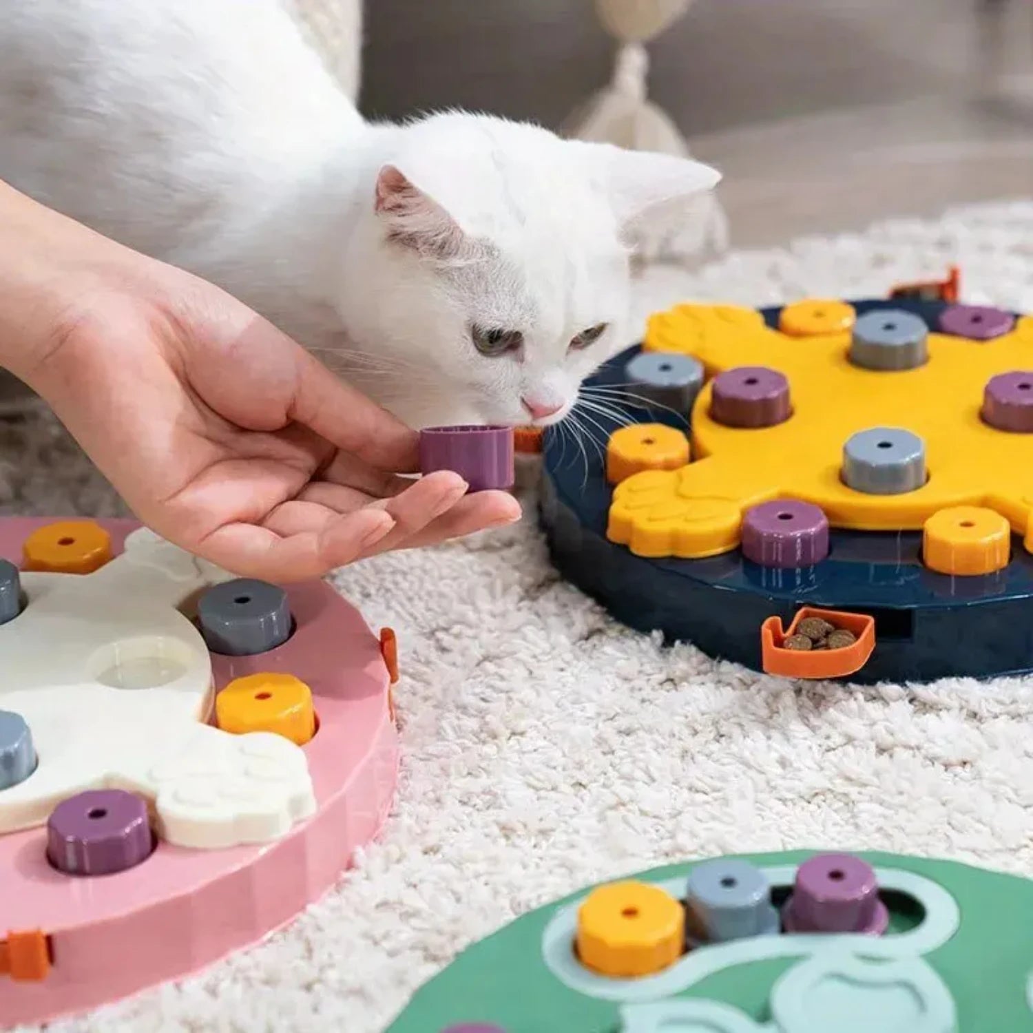 Interactive Pet Puzzle Toy