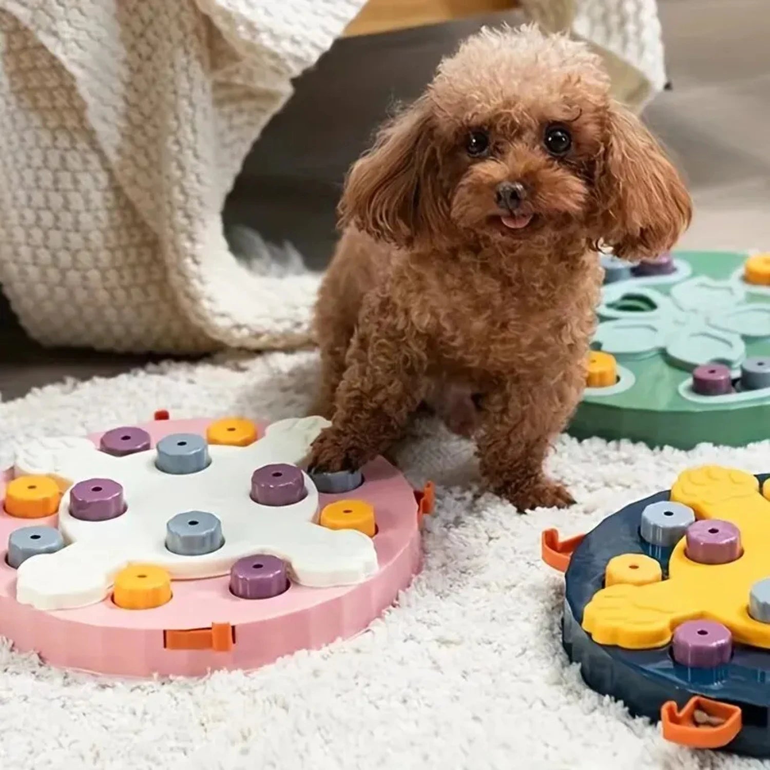 Interactive Pet Puzzle Toy