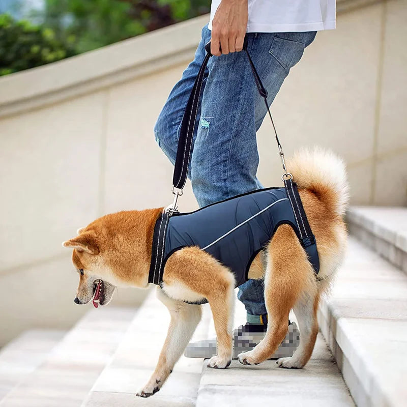 Breathable Dog Lift Harness