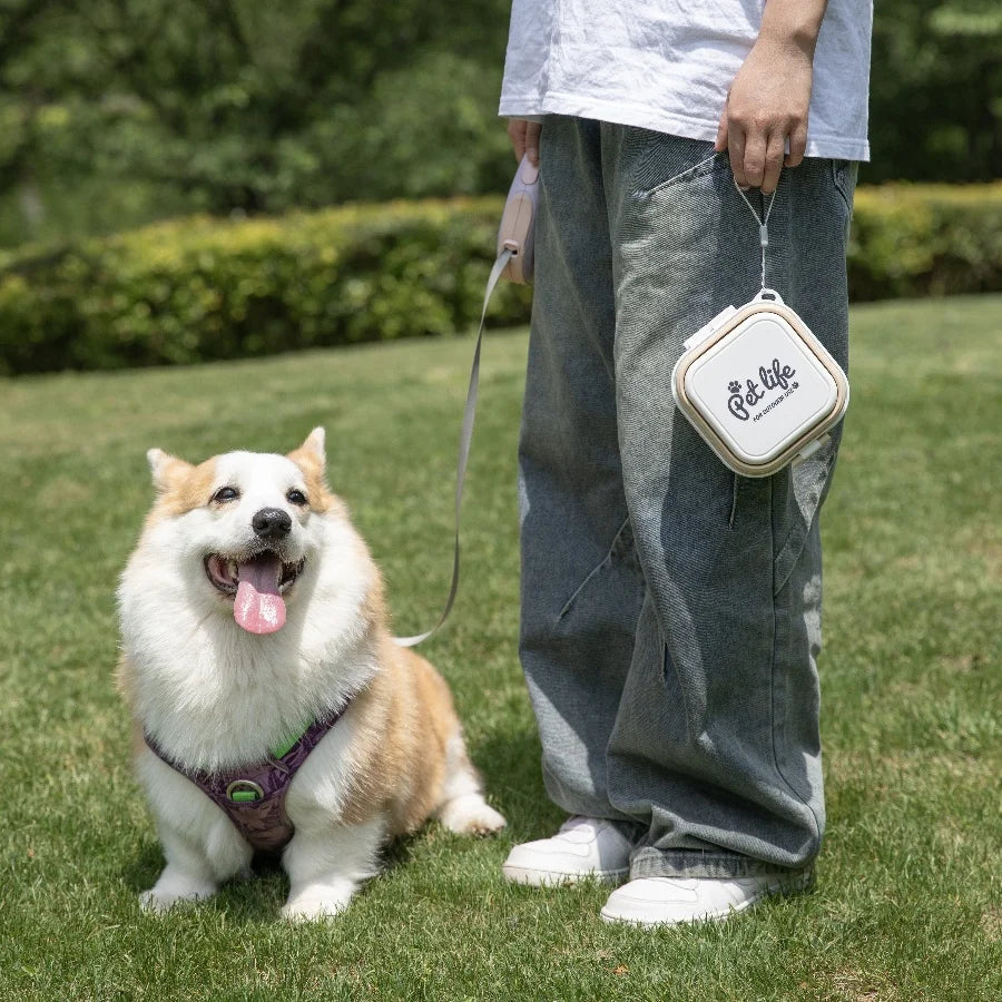 Portable Double-decker Pet Travel Bowl