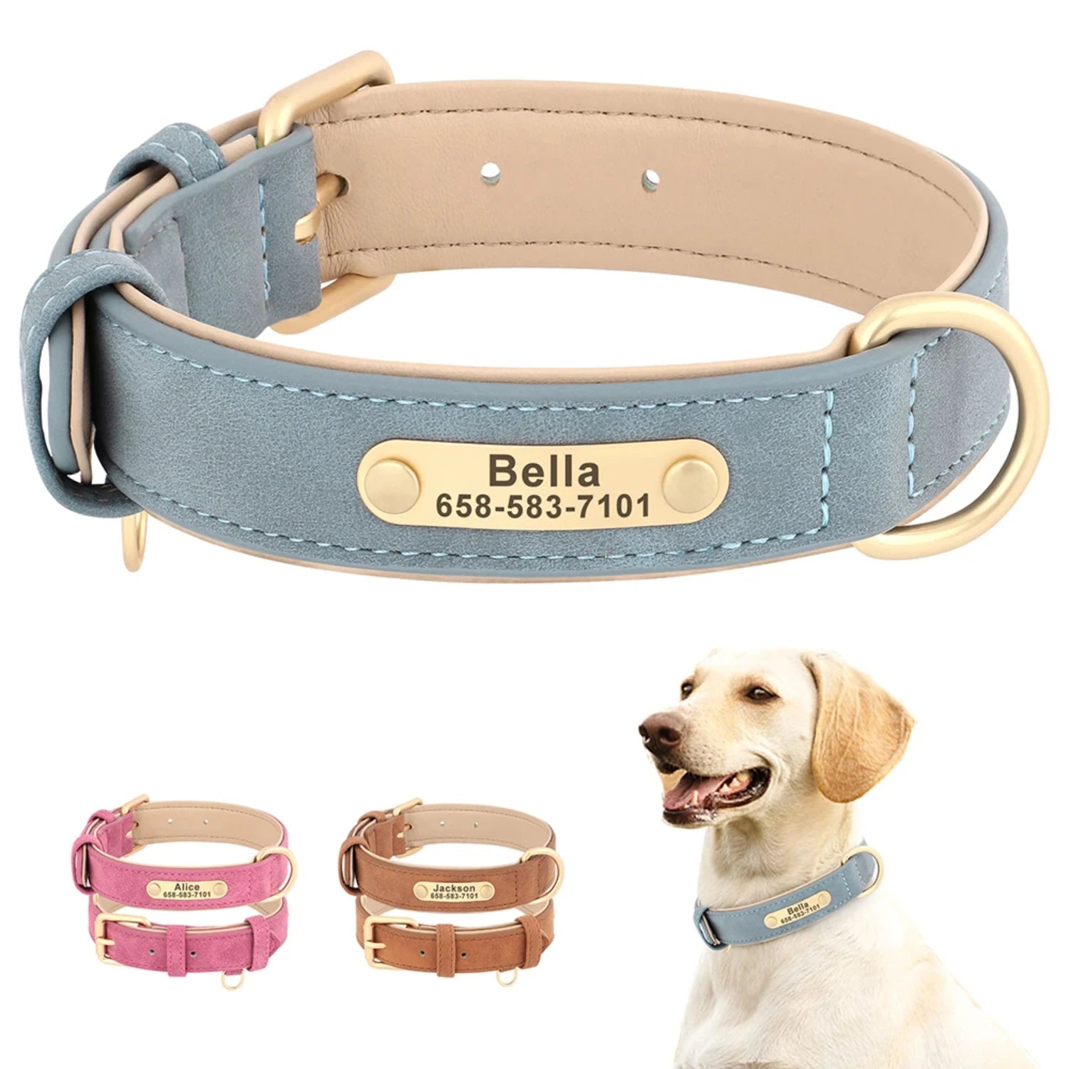 Personalized Soft Padded  Dog Collar