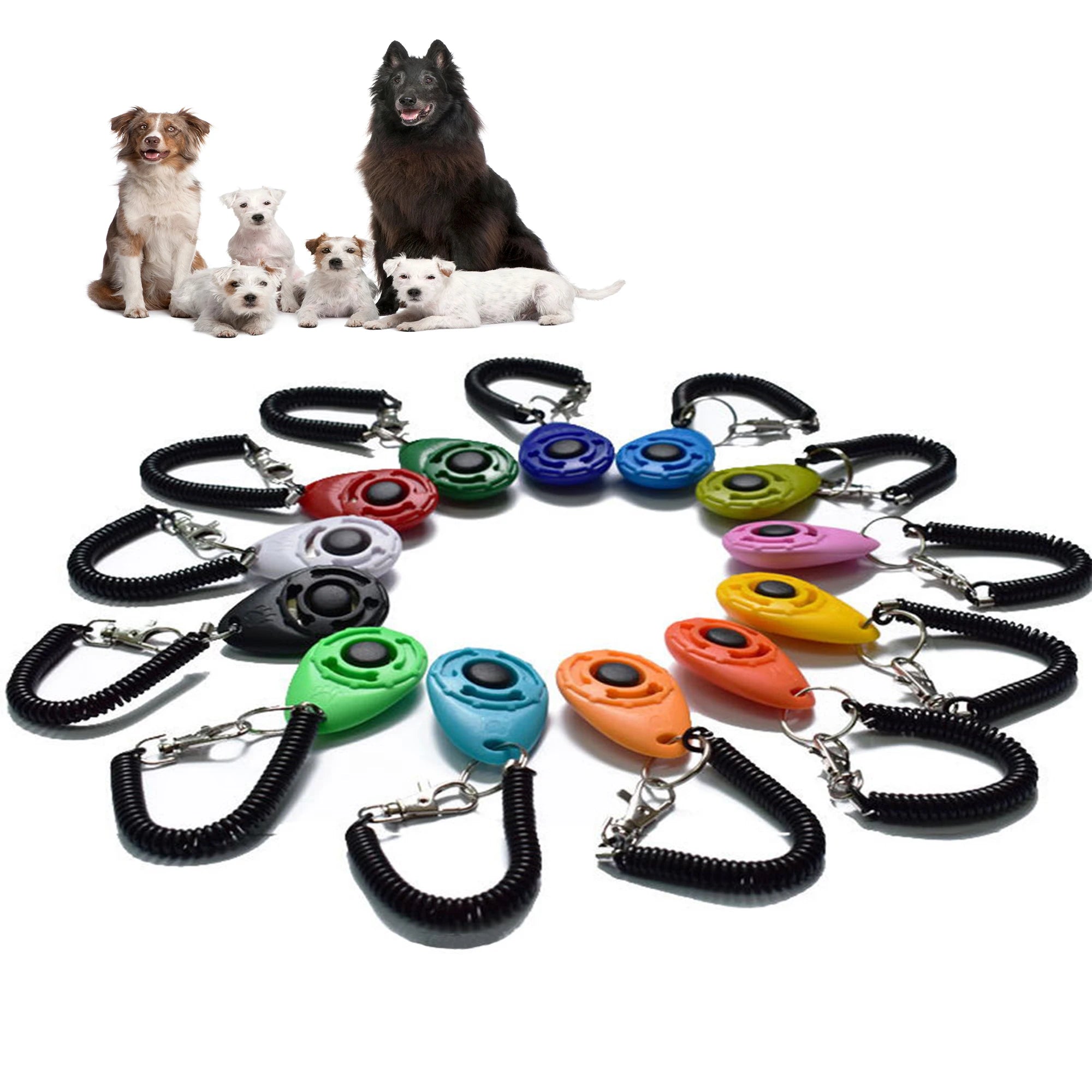 Dog Training Adjustable Wrist Strap Key