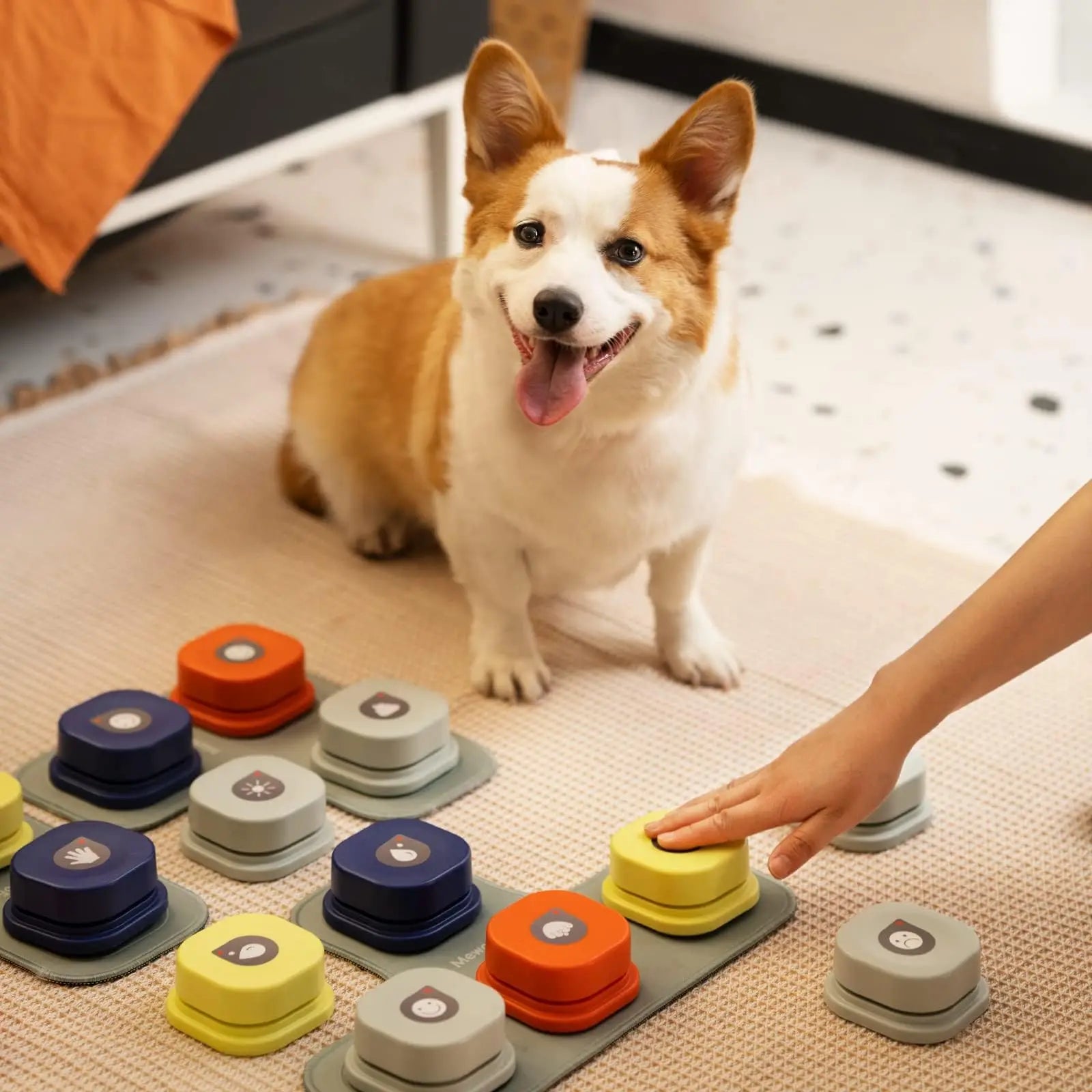 Dog Vocal Training Toy